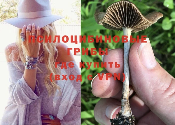 а пвп мука Алексеевка