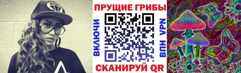 Галлюциногенные грибы ЛСД  цены   Павловская 